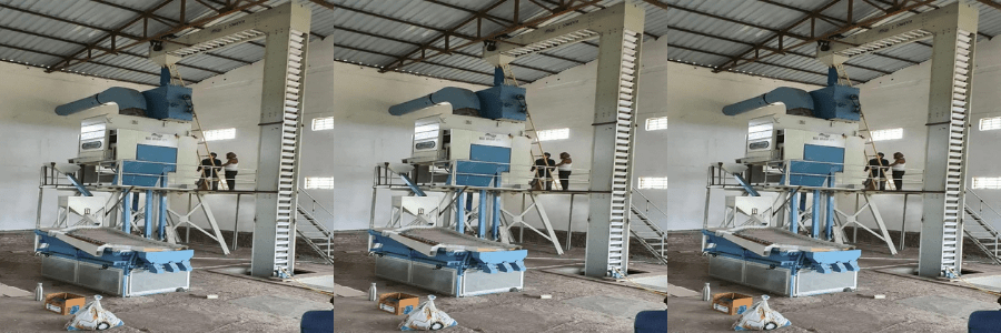 Millet Processing Plant Manufacturer